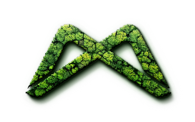 Tree Visual
