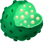 Lizozomlar